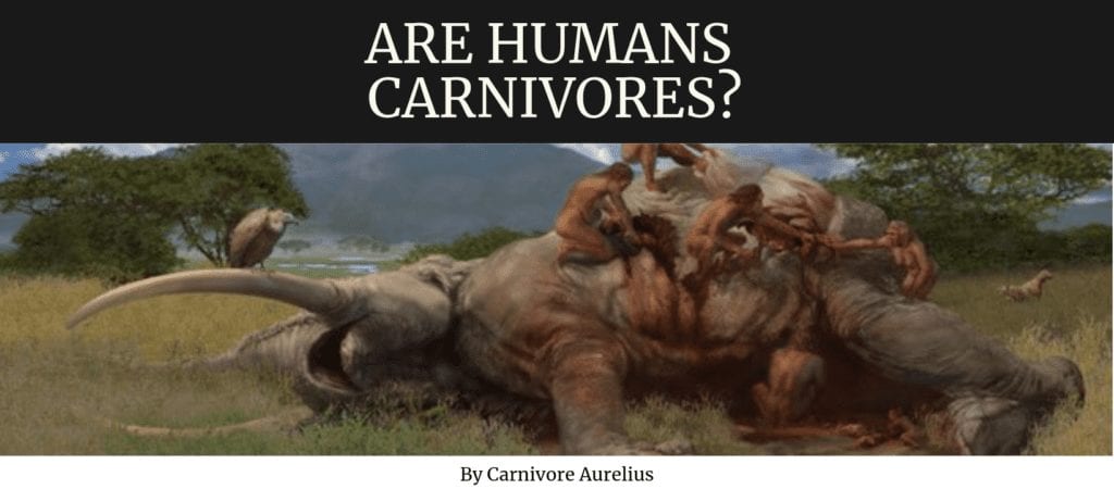 Are humans carnivores?