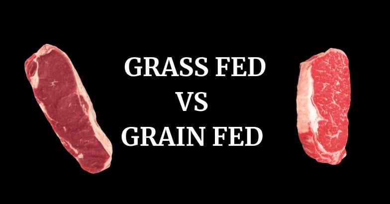 Grass Fed vs Grain Fed Beed