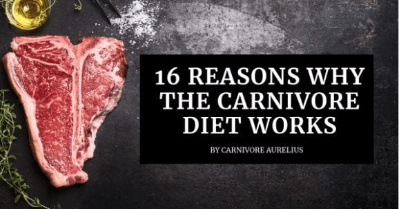 Science Behind the Carnviore Diet: 16 Reasons It Works
