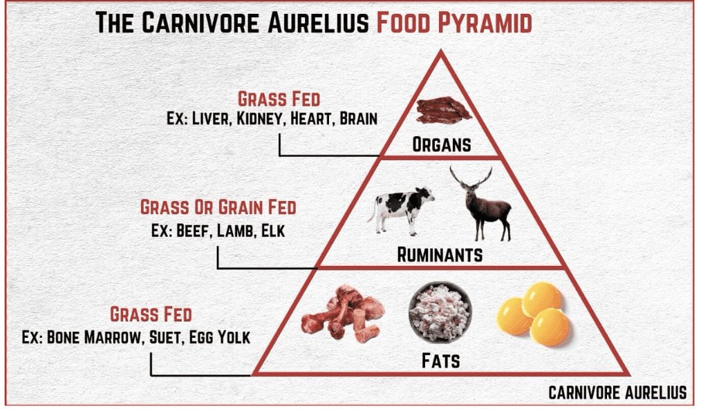 The carnivore aurelius food pyramid