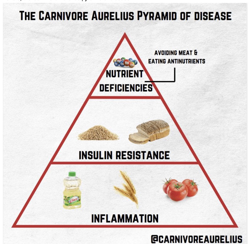 carnivore aurelius pyramid of disease