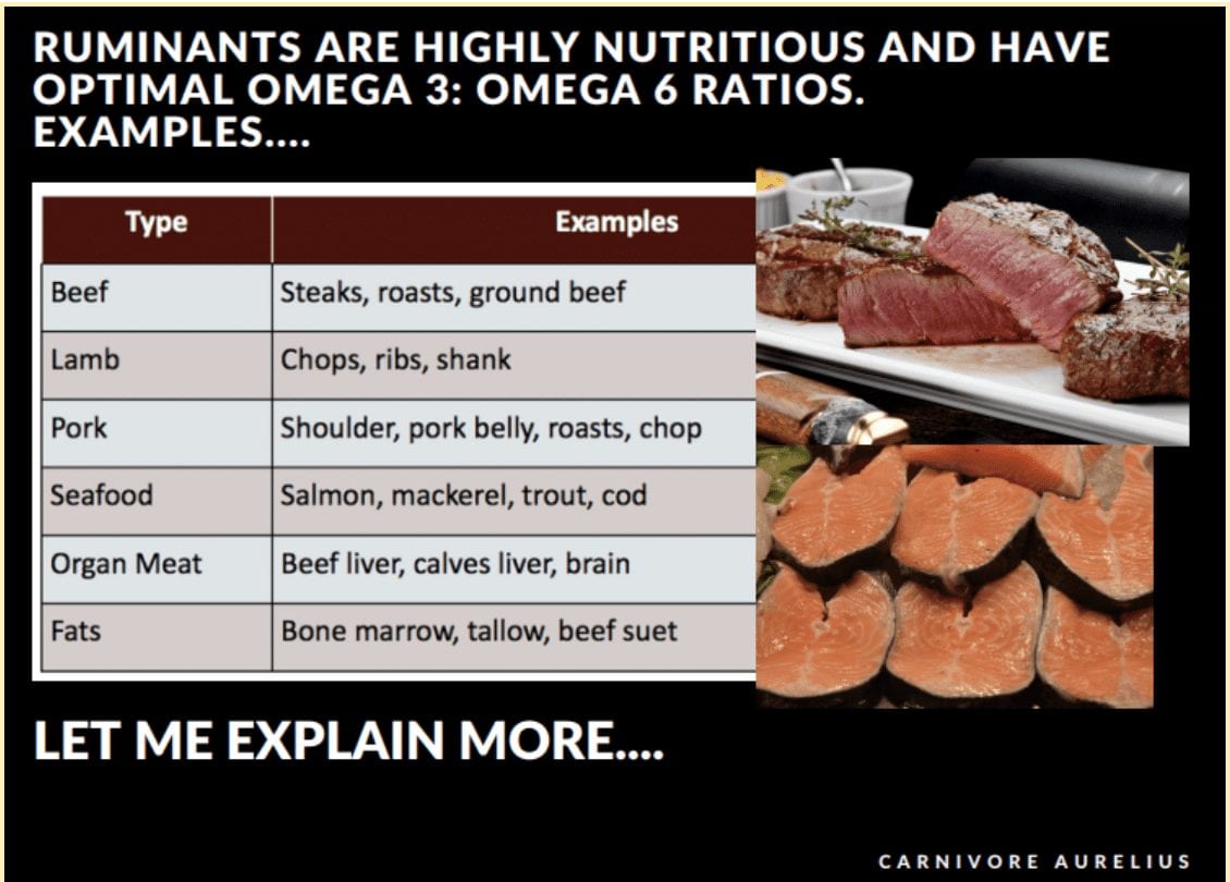 Carnivore Diet: Everything You Need to Know (Updated 2020)